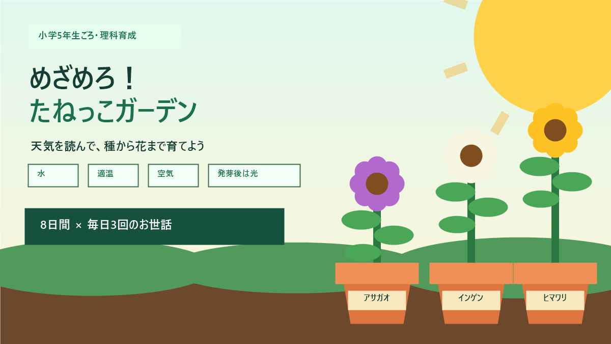 めざめろ！たねっこガーデンのアイキャッチ画像